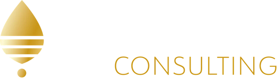 VMR Consulting